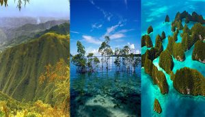 Đá Muối Himalaya Ra Đời Như Thế Nào Bạn Đã Biết? 1 2020