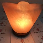 DAMILAMA – Đá Muối Khoáng Himalaya 100% Nguyên Chất Nhập Khẩu Trực Tiếp Từ Pakistan (Không Qua Trung Gian) 4 2020 DAMILAMA – Đá Muối Khoáng Himalaya 100% Nguyên Chất Nhập Khẩu Trực Tiếp Từ Pakistan (Không Qua Trung Gian) 3 2020