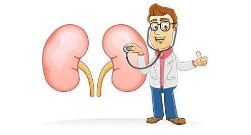 Cách Phòng Chống Và Đối Phó Bệnh Suy Thận 1 2020 Suy Thận Là Gì? Cách Chữa Suy Thận