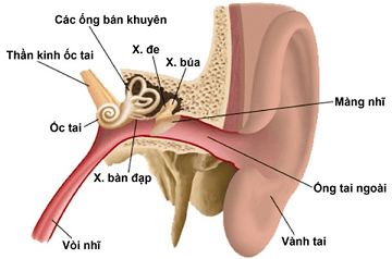 Tìm Hiểu Nguyên Nhân Và Mẹo Trị Ù Tai Hiệu Quả 1 2020 Tìm Hiểu Nguyên Nhân Và Mẹo Trị Ù Tai Hiệu Quả 1 2020