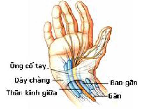 Tê Tay và Những Nguy Cơ Tiềm Ẩn Không Ngờ 2 2020 Tê Tay và Những Nguy Cơ Tiềm Ẩn Không Ngờ 1 2020