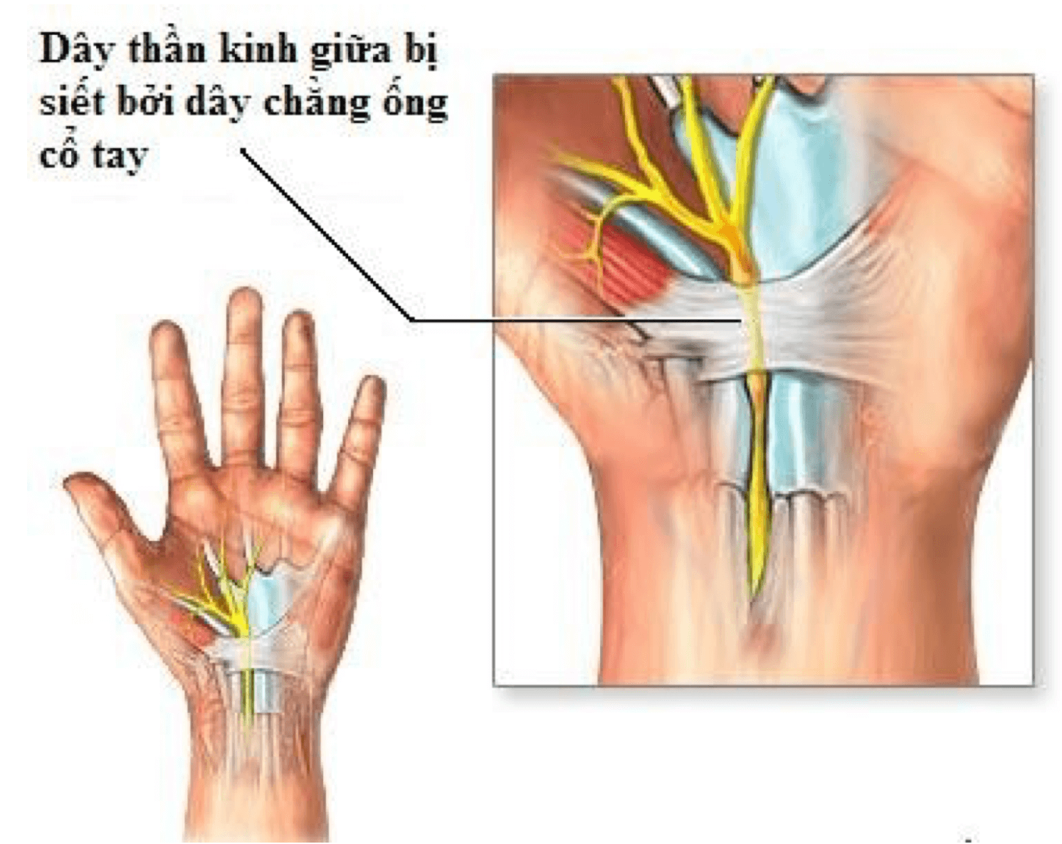 Ảnh của 