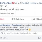 DAMILAMA – Đá Muối Khoáng Himalaya 100% Nguyên Chất Nhập Khẩu Trực Tiếp Từ Pakistan (Không Qua Trung Gian) 70 2020 DAMILAMA – Đá Muối Khoáng Himalaya 100% Nguyên Chất Nhập Khẩu Trực Tiếp Từ Pakistan (Không Qua Trung Gian) 55 2020