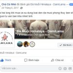 DAMILAMA – Đá Muối Khoáng Himalaya 100% Nguyên Chất Nhập Khẩu Trực Tiếp Từ Pakistan (Không Qua Trung Gian) 64 2020 DAMILAMA – Đá Muối Khoáng Himalaya 100% Nguyên Chất Nhập Khẩu Trực Tiếp Từ Pakistan (Không Qua Trung Gian) 49 2020