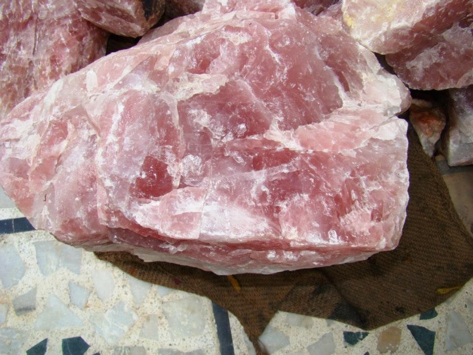Photo of Bổ Sung Khoáng Chất Phòng Ngừa Bại Liệt Cho Bò Trước Sinh Sản