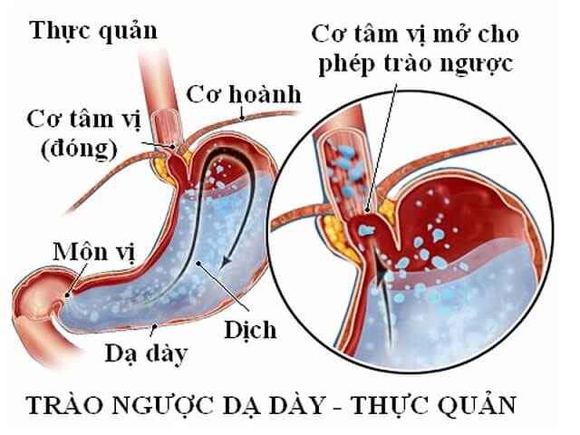 Top 10 Công Dụng Của Mật Ong Đối Với Sức Khỏe 4 2020 Top 10 Công Dụng Của Mật Ong Đối Với Sức Khỏe 1 2020